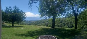 1000007599.1691174339065 300x135