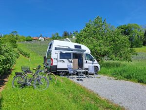 1000014179.1715516314234 300x225