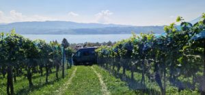 1000055252.1694446284502 300x139