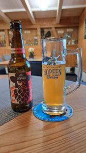 1000061400.1709403749156 169x300