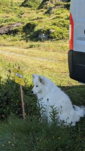 110875888.1722674025663 169x300