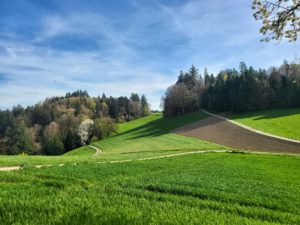 130974103.1713081690974 300x225