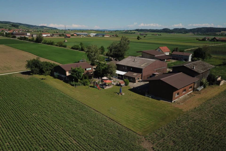 102669546 3168017346591901 2450801063146553344 n 768x512