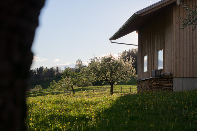 1574884410 hof familie rutishauser 2 768x512