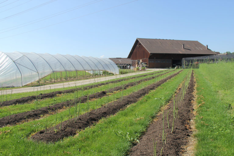 1576351658 walser hof 1 768x512