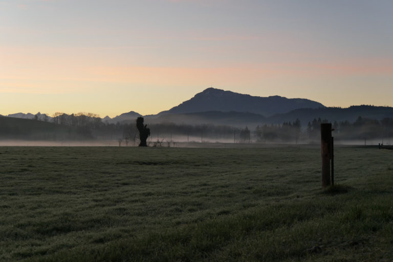 1579508031 adlerzart 9 768x512