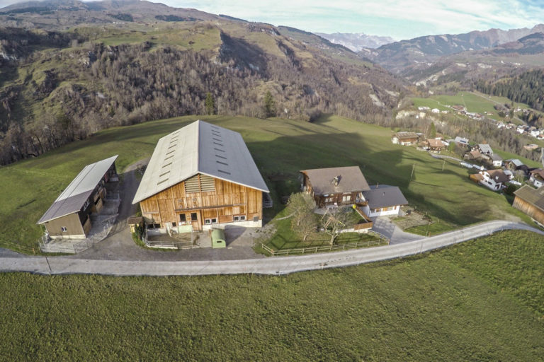 foto surcasti12 768x512