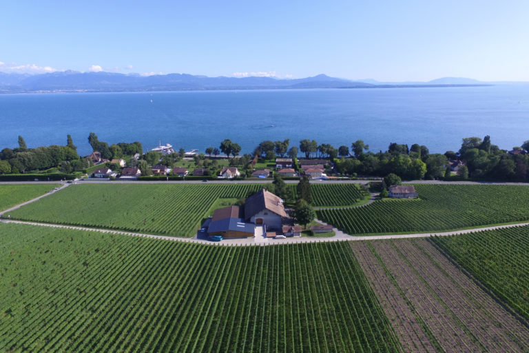 feuillerage2 768x512