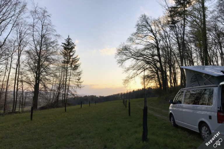 arbo1 768x512