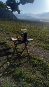 IMG 20220417 082938 2 169x300