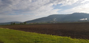 20240426 080158 300x146