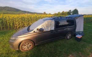 20240725 201641 1 300x188