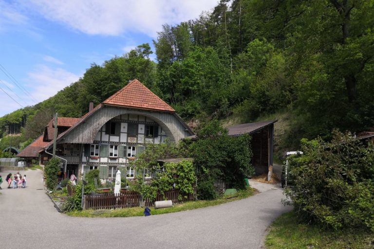 Bauernhof Danieles Allerlei Hof Ladeli1 768x512