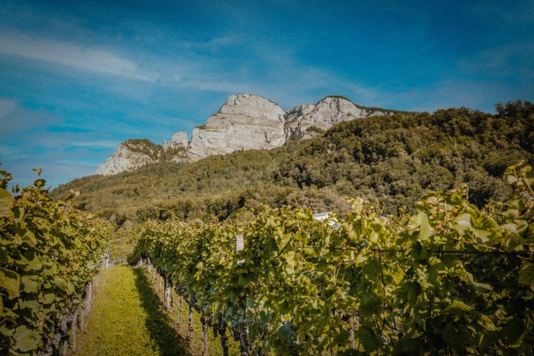 Gonzen 00 home 768x512