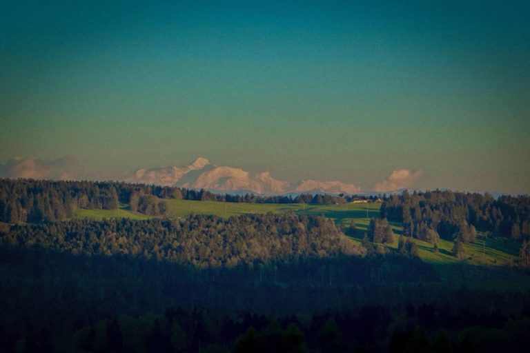 Morez 01 home 768x512