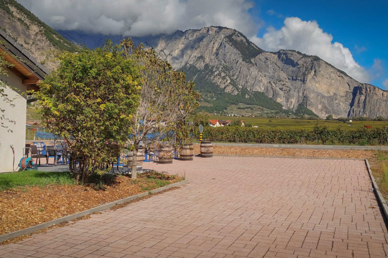 Oeno Leytron home 768x512