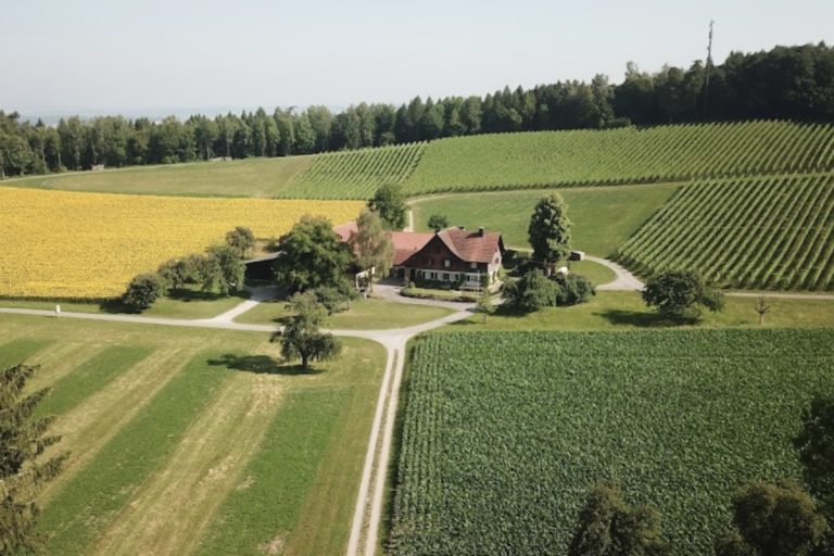 Weingut Kindhauser Berghof4 1 768x512