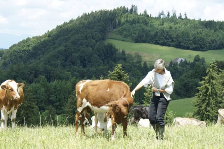 Chalberweid 770 768x512