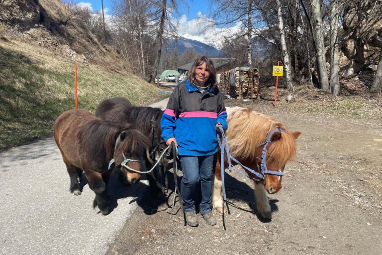 Petit Bonh 00 768x512