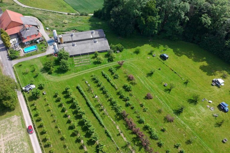 683ad23ccd736 768x512