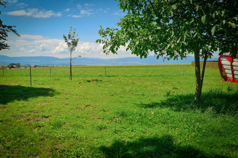 Carrard 00 home DE 768x512