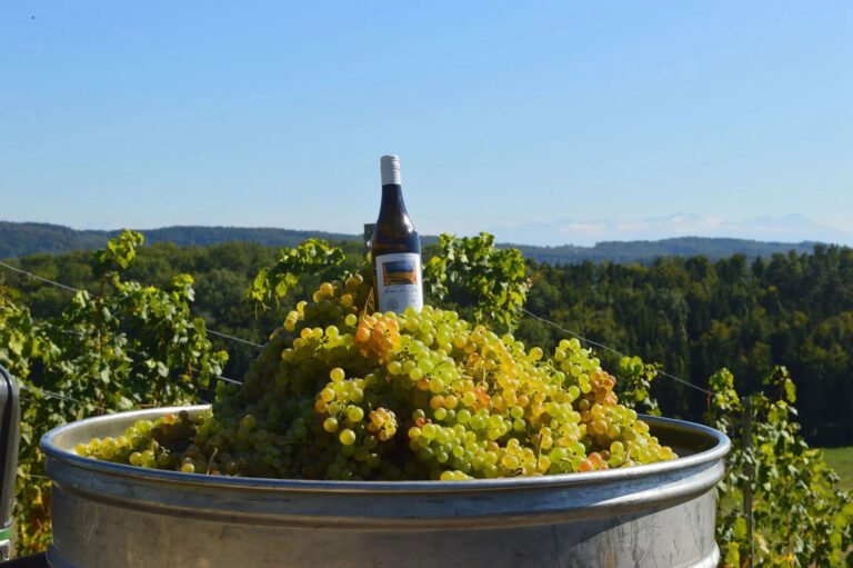 Orme 00 home FR 768x511