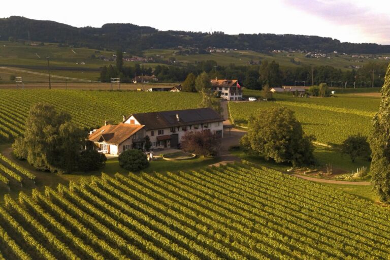 domaineDolle 1 FR 768x512