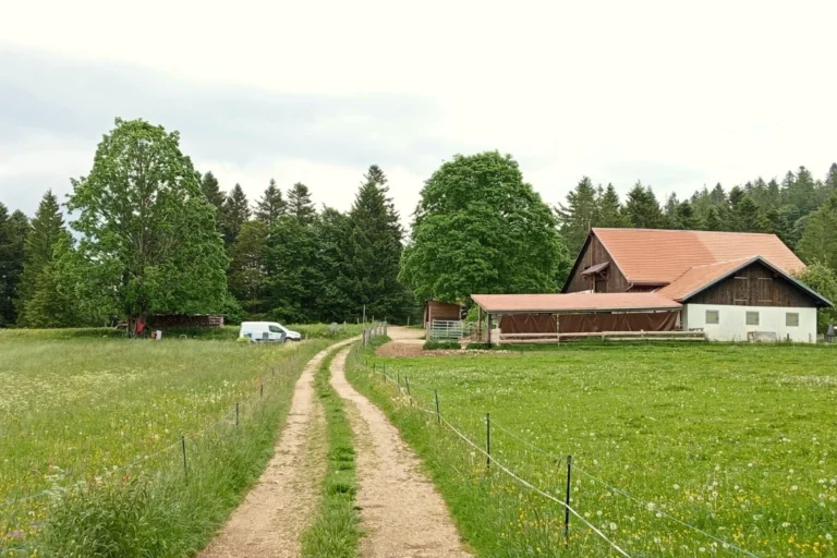 Met Gent 00 FR 768x512