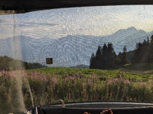 99312158.1723843445517 300x225