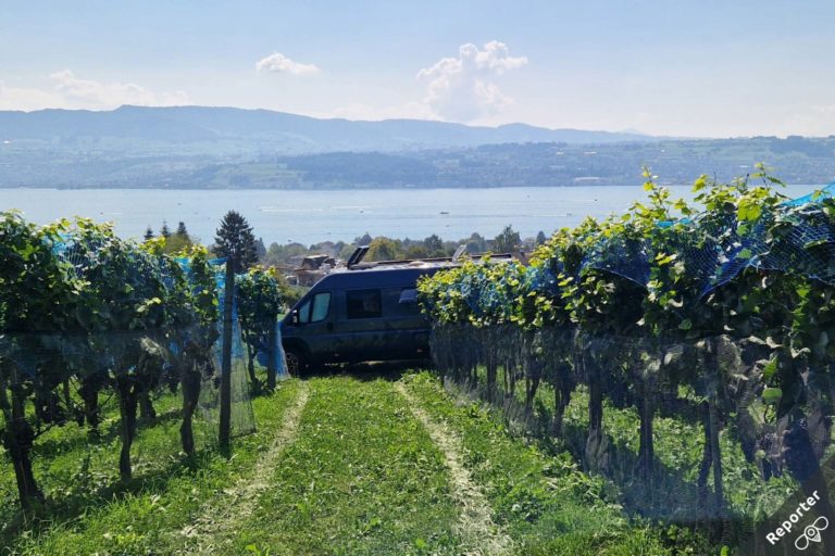 Camper reporter 01 146 768x512