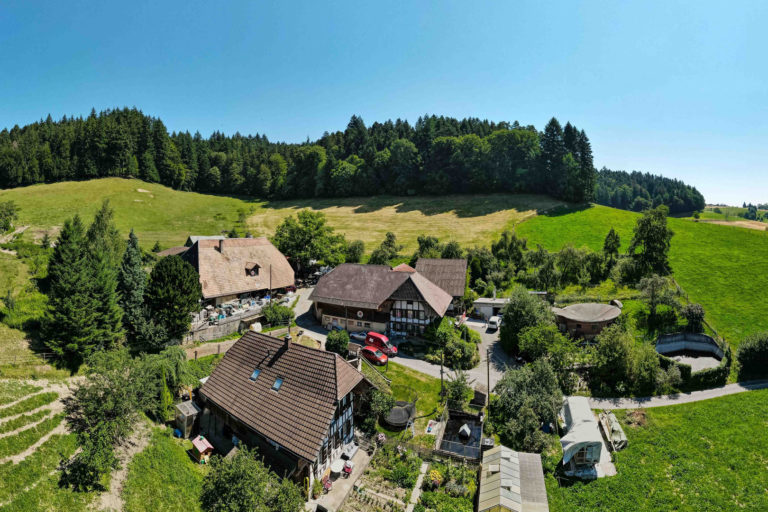 Place Too Bee 13 1 768x512