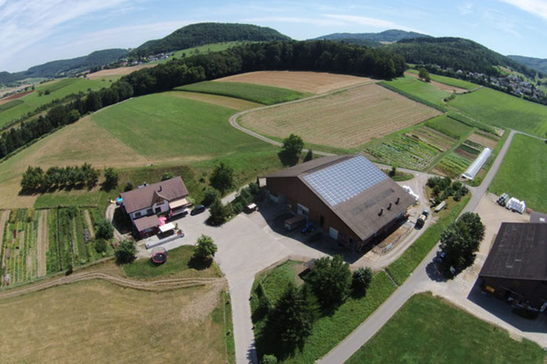 Walternhof drone 768x511